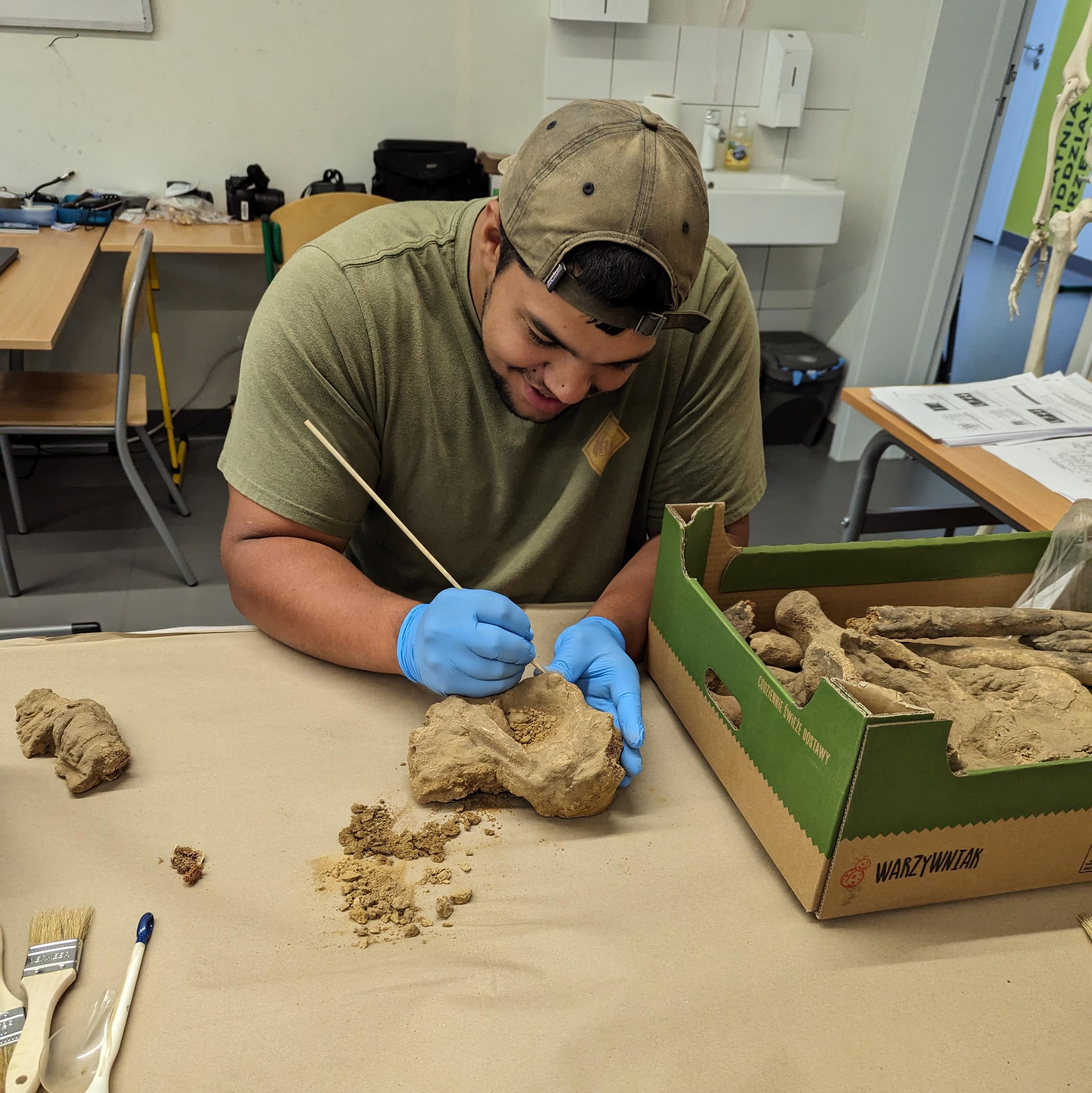 People cleaning bones in an archaeology lab
